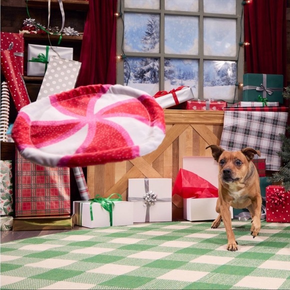 BARK Holiday Santas Workchomp Peppermint Fetch Dog Plush Toy, All dog sizes- Nwt - Picture 7 of 8